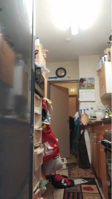 Willyversa  17-12-2020 video stripte