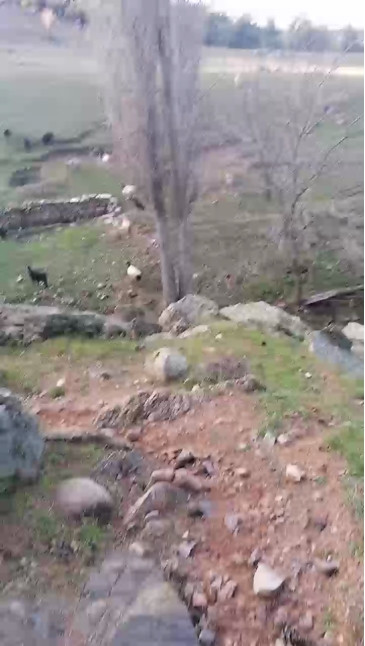 kasket45  17-12-2020 video busty