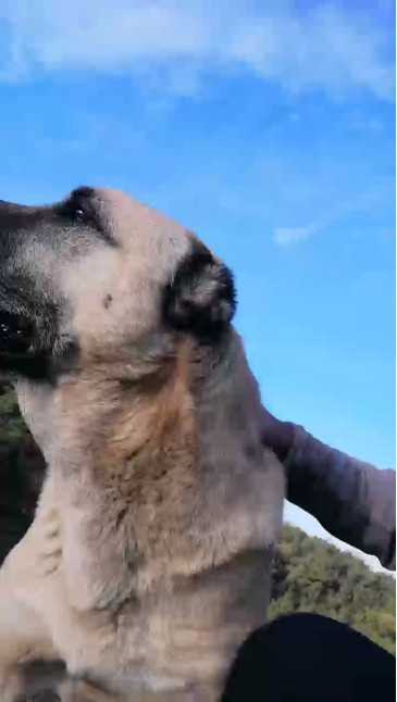 kasket45  17-12-2020 video athletic