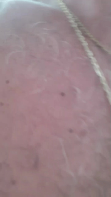 recoblue22cm  17-12-2020 video smilebitch