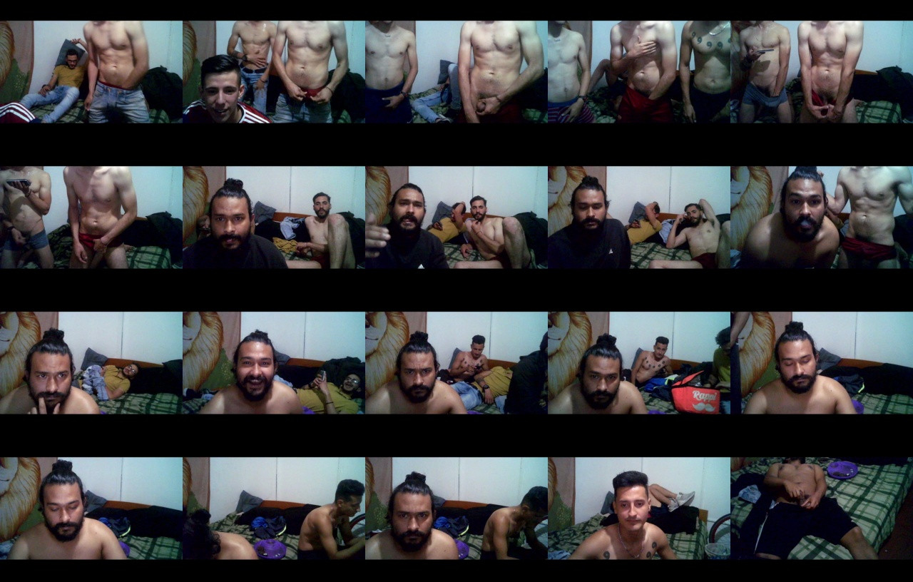 sex_pigs  16-12-2020 Male Webcam