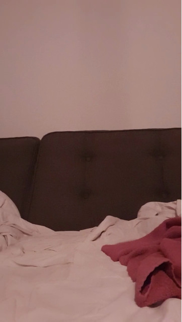 vincent2112hott  17-12-2020 video wild