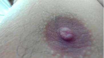 Hey_Arnold  21-12-2020 video vibrator