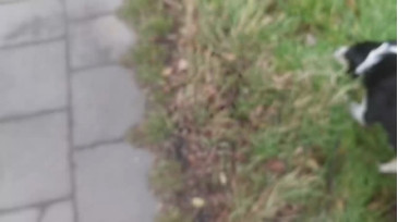 Tastit4cs  21-12-2020 Recorded Video XXX