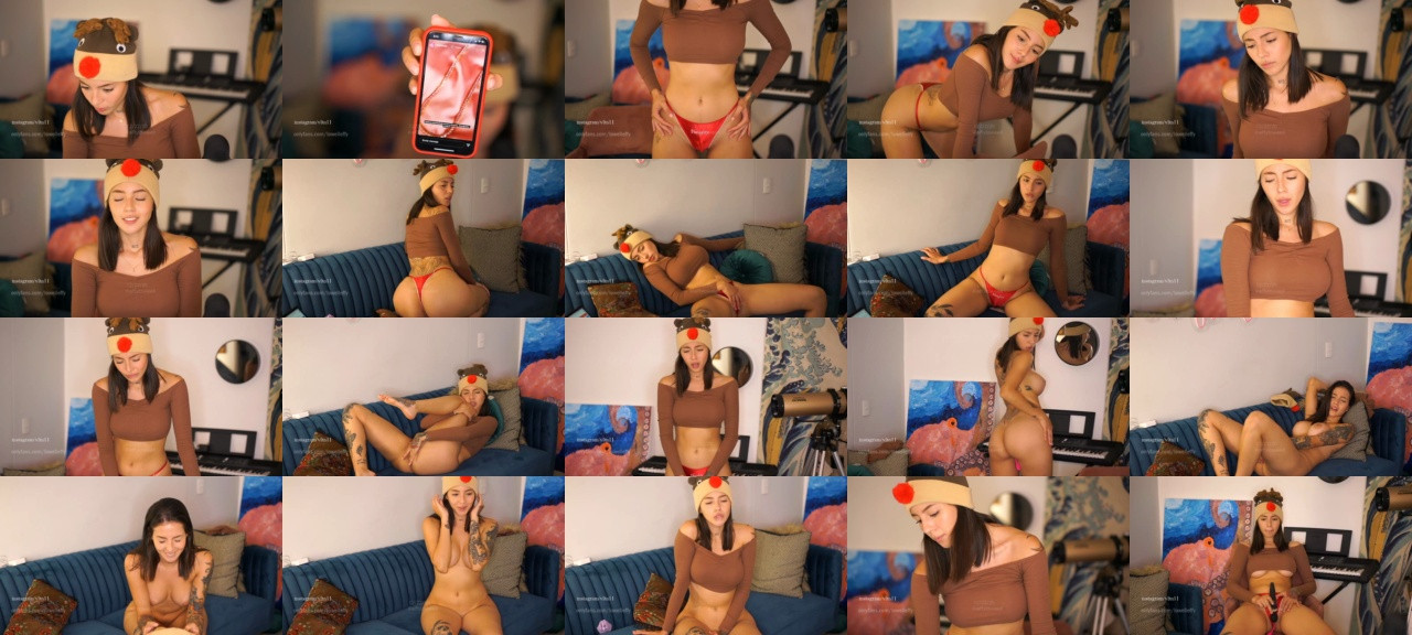 Effyloweell 23-12-2020 Ass 