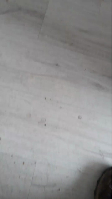 gizliaskemre34  24-12-2020 Recorded Video Nude