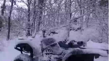 Hardworkertn  25-12-2020 video nudesshow