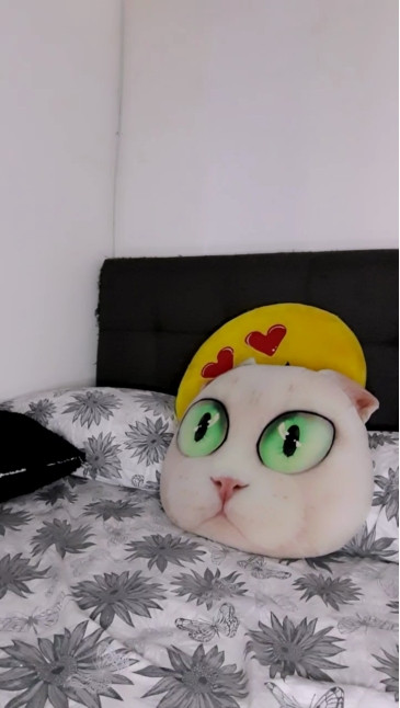MonyCat_  25-12-2020 biglips Female