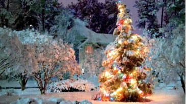 Unicornspit11  25-12-2020 video sexygirl