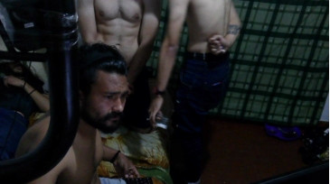 sex_pigs