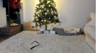 Misslusciousxox  26-12-2020 cutegirl Female