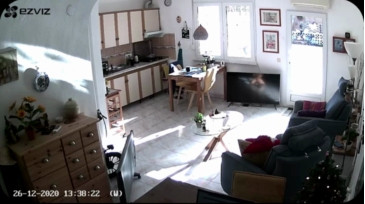 PaulieDeBeest99  26-12-2020 Recorded Video Porn