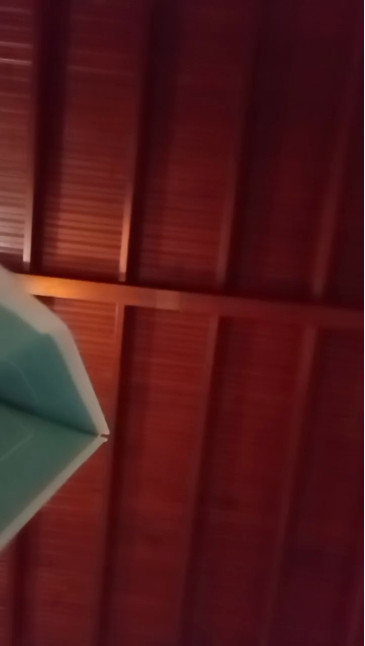 Rutacaliente  27-12-2020 Recorded Video Topless