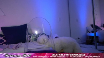 Briannabellxxx 28-12-2020 Cam 