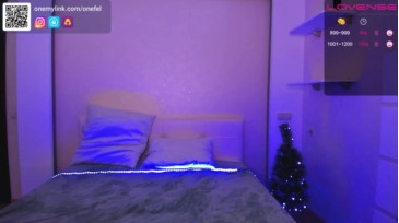 Onefel 30-12-2020 Cam 