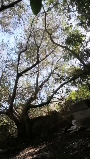 vicioson19741  30-12-2020 Recorded Video Porn