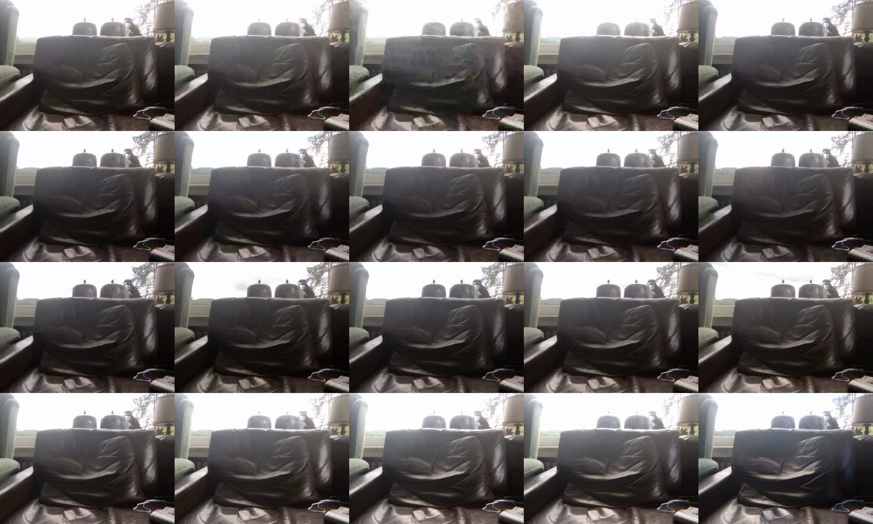 hurry41  06-07-2021 Recorded Video XXX