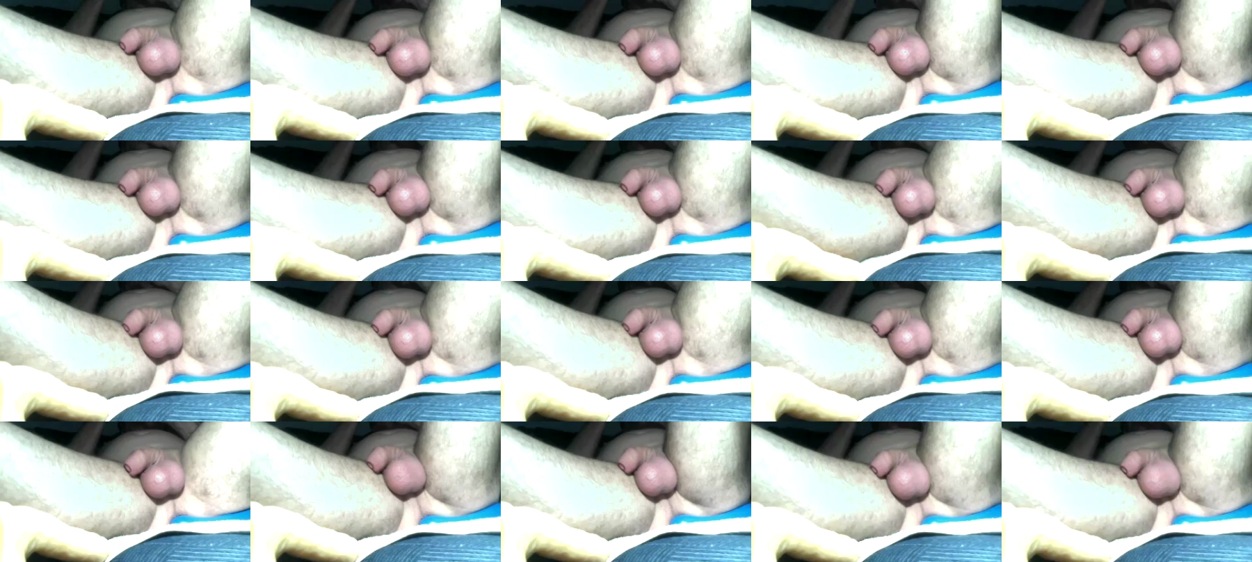 Pitterporz  30-07-2021 Recorded Video Download