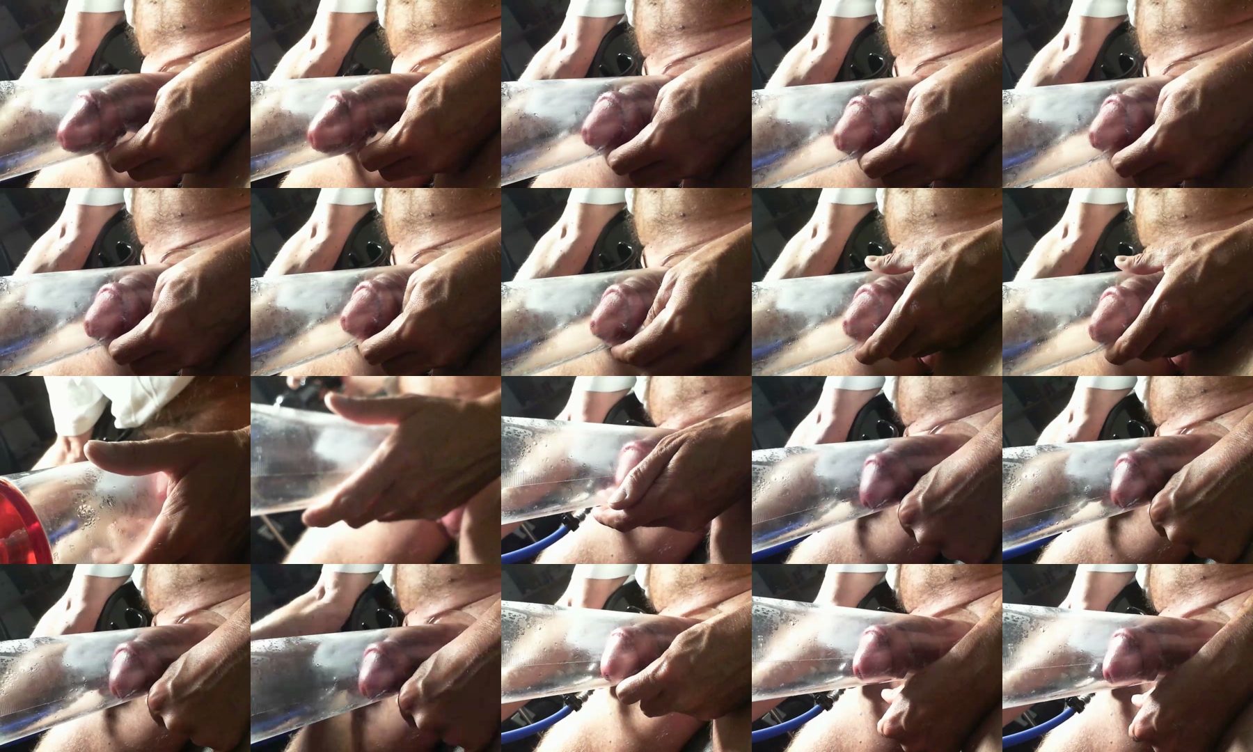 BearLover1_1  20-08-2021 Recorded Video Download