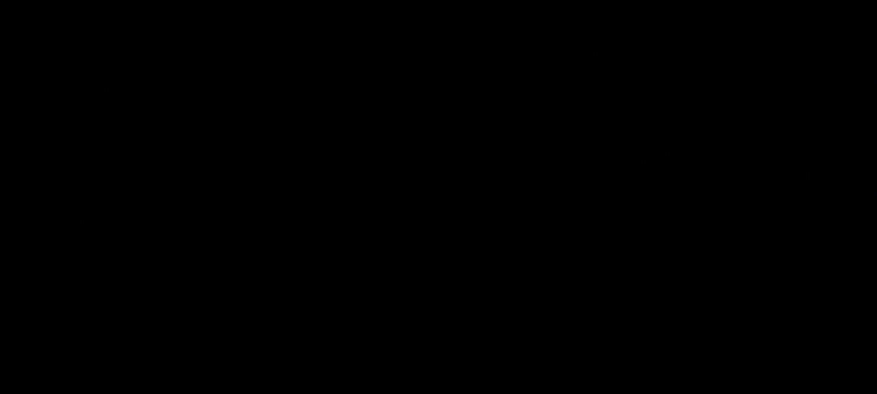 Sexpaaarhard 04-09-2021 Wet 