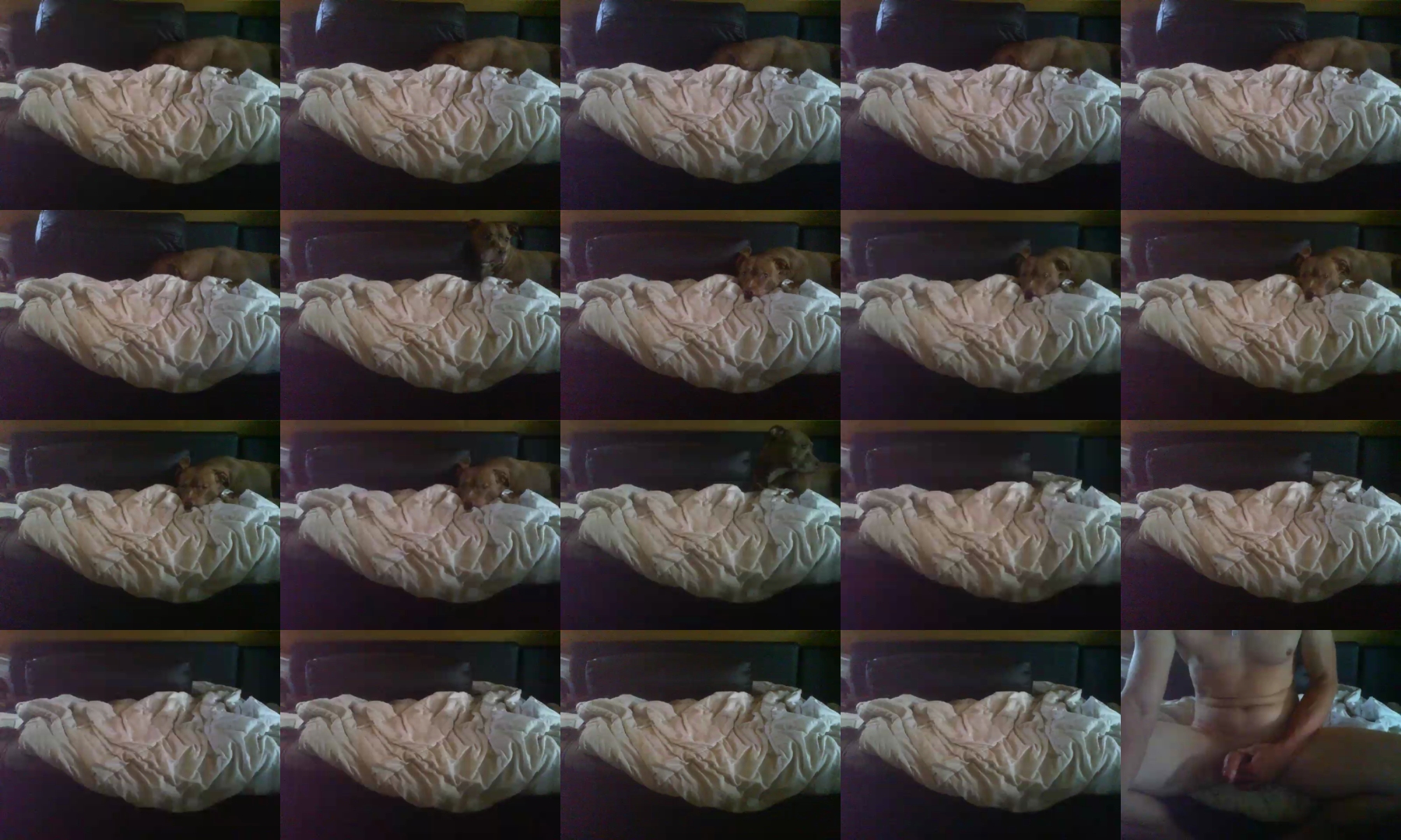 likemy_dick  06-09-2021 Recorded Video XXX