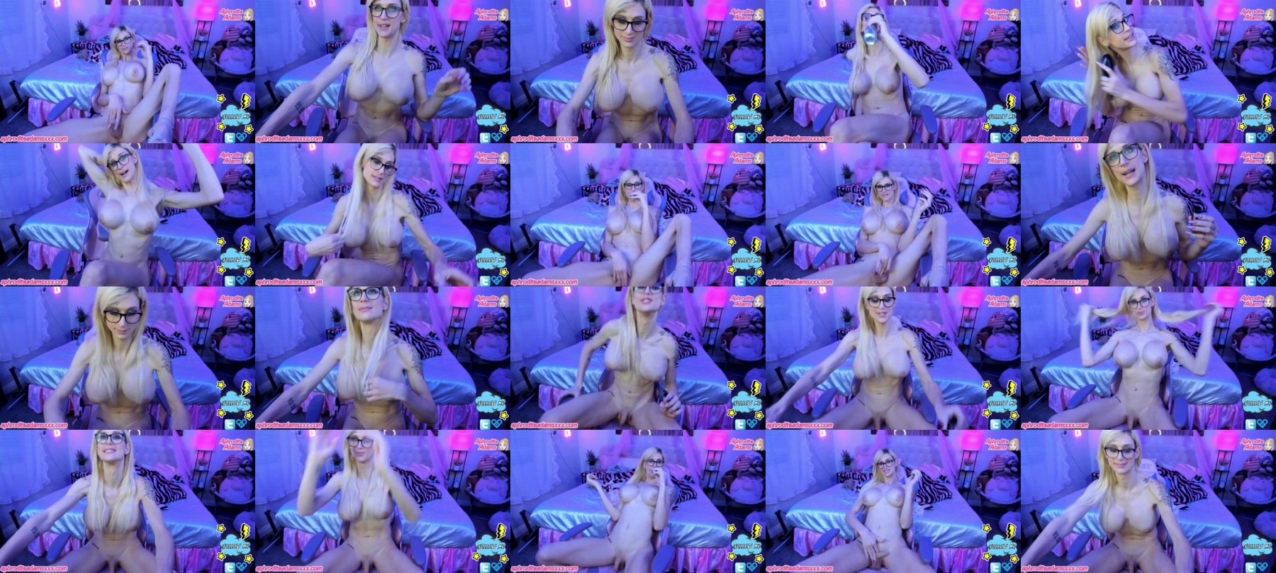 Tsaphroditeadams  26-09-2021 Trans Webcam