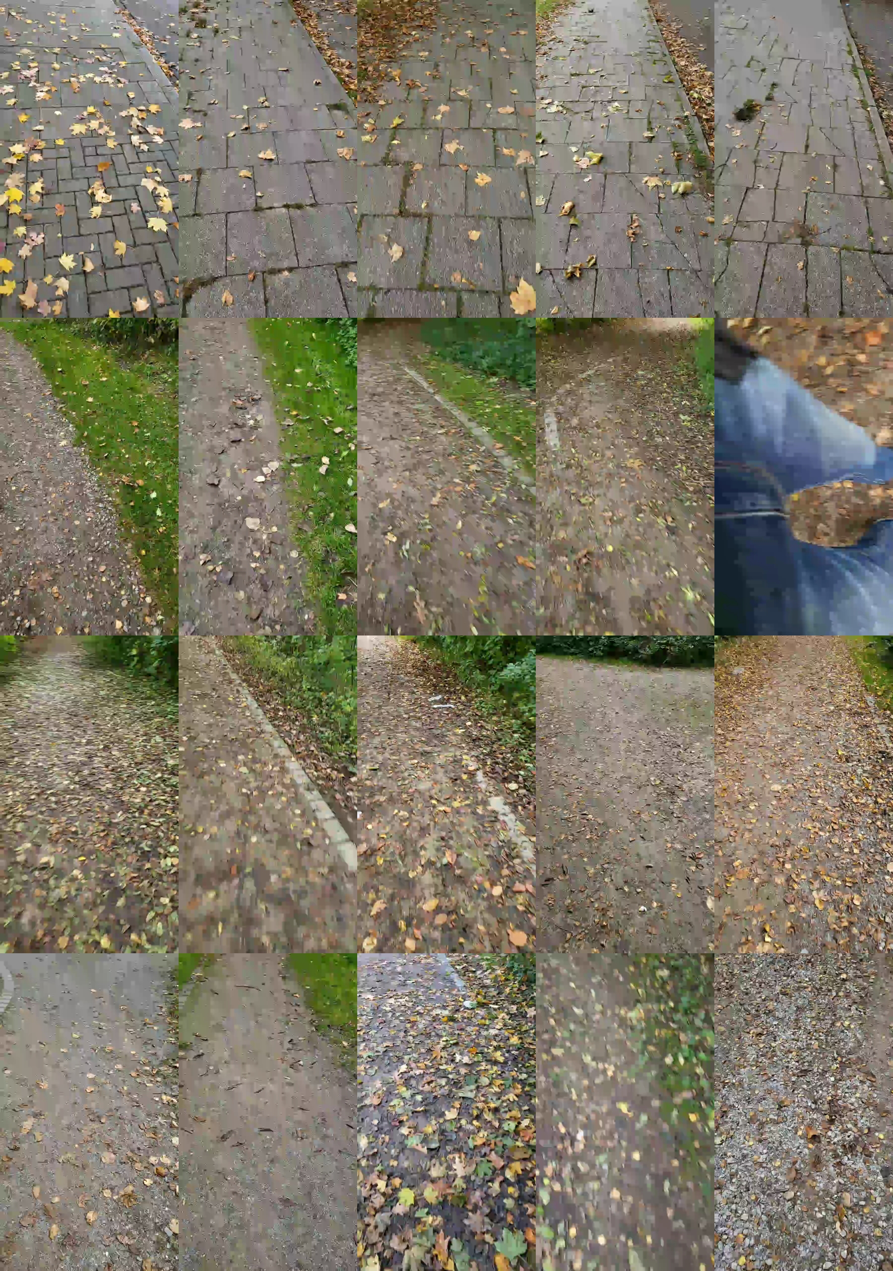maulwurf01  17-10-2021 Recorded Video Webcam