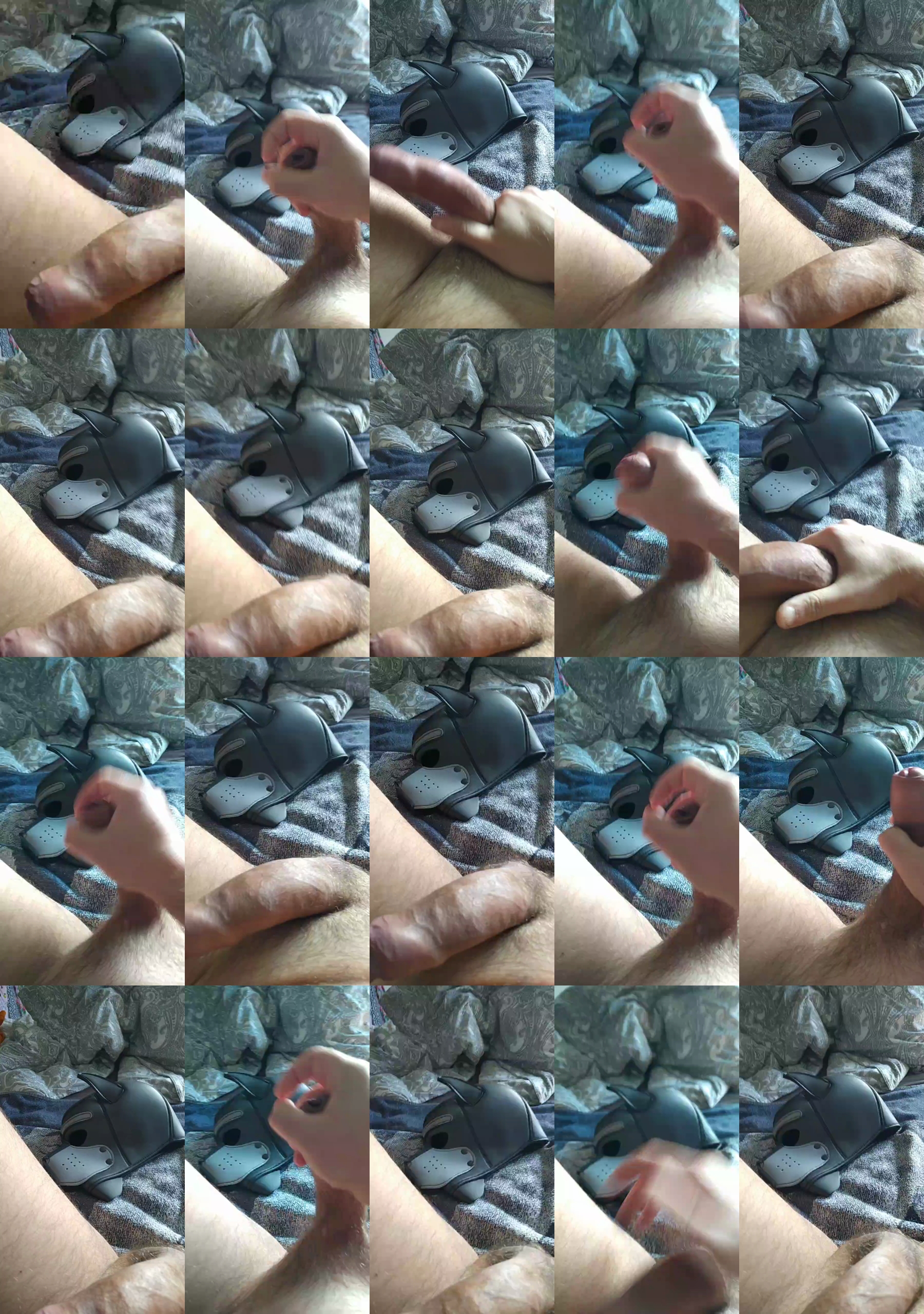 PupSora86  27-10-2021 Recorded Video Webcam