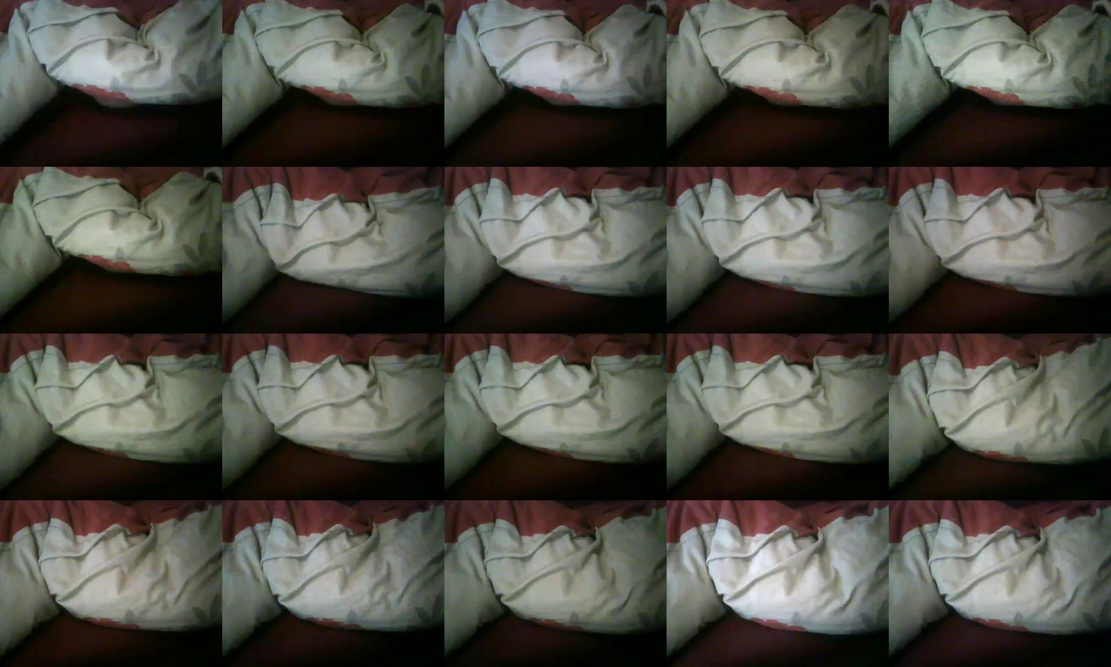 meinereinern  10-11-2021 Recorded Video Webcam