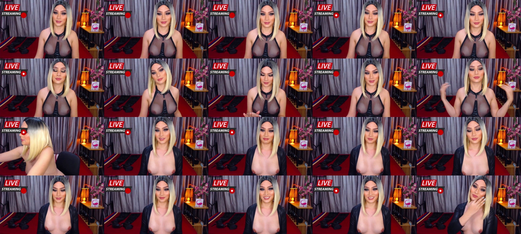 Legendaryxqueen ts 13-11-2021  trans Ass