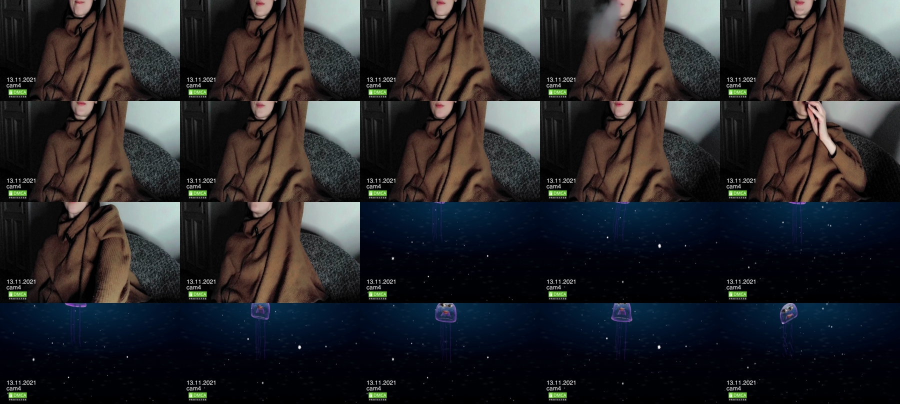 Preview