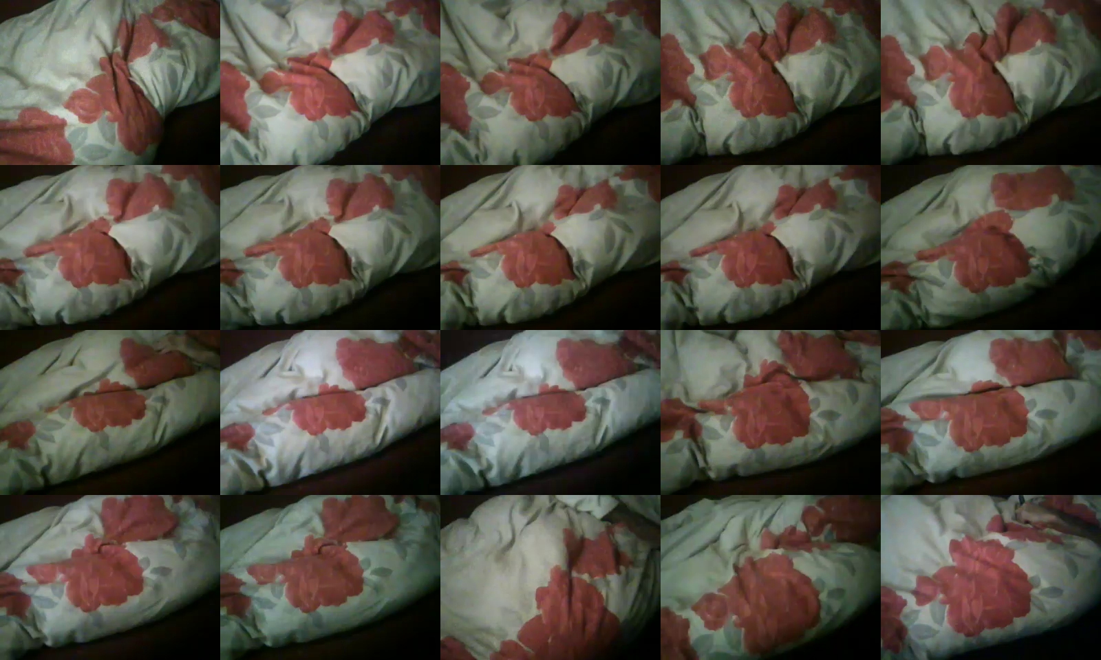 meinereinern  17-11-2021 Recorded Video XXX