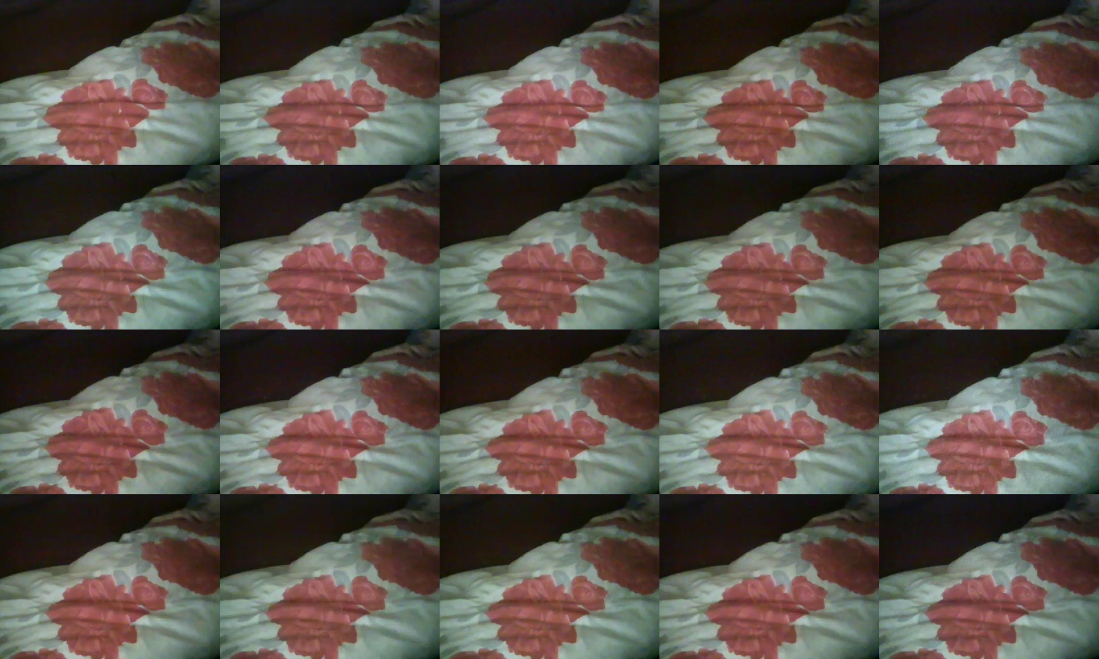 meinereinern  19-11-2021 Recorded Video Webcam