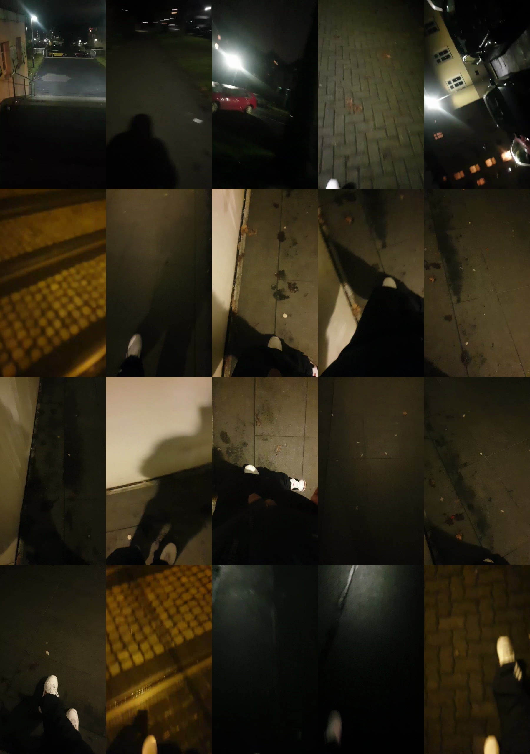 PacinoDeniro  18-12-2021 Recorded Video Webcam
