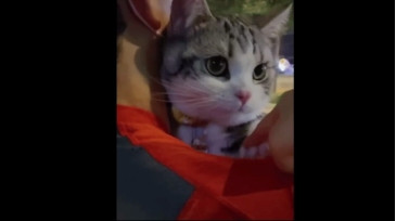 Topganhotty  03-01-2021 video smilebitch