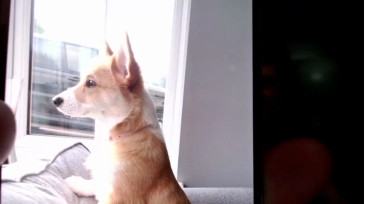 Heyhotty1  05-01-2021 video pvtshow