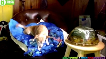 Hairandmuscle  06-01-2021 video spoil