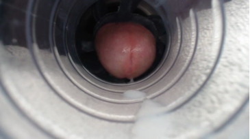 Jeffrodgerschaturbat  06-01-2021 video taboo