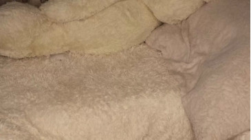 Patry333  08-01-2021 domme Female