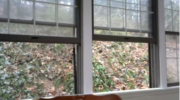 Hardworkertn  11-01-2021 video mistress