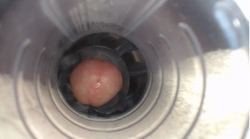 Jeffrodgerschaturbat  11-01-2021 video phone