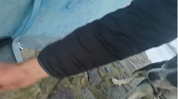 Tastit4cs  14-01-2021 Recorded Video Naked
