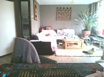 mihaimichael  18-01-2021 Recorded Video Cam