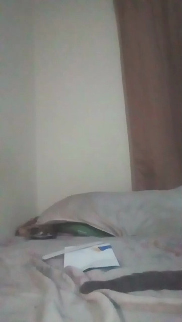 vicsafadinho  19-01-2021 Recorded Video Cam