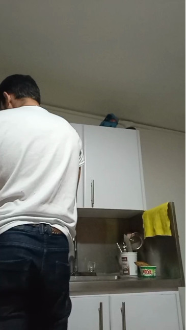 Carlitosnn  20-01-2021 Recorded Video Cam