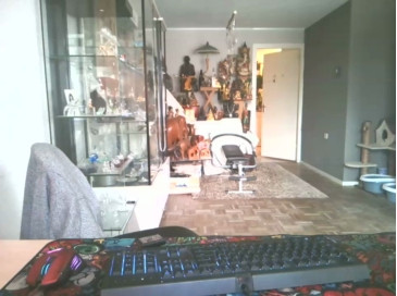 mihaimichael  20-01-2021 Recorded Video Download