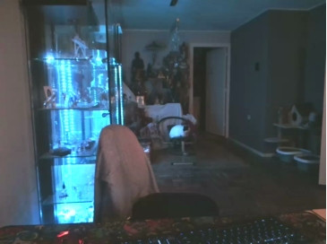 mihaimichael  22-01-2021 Recorded Video Show