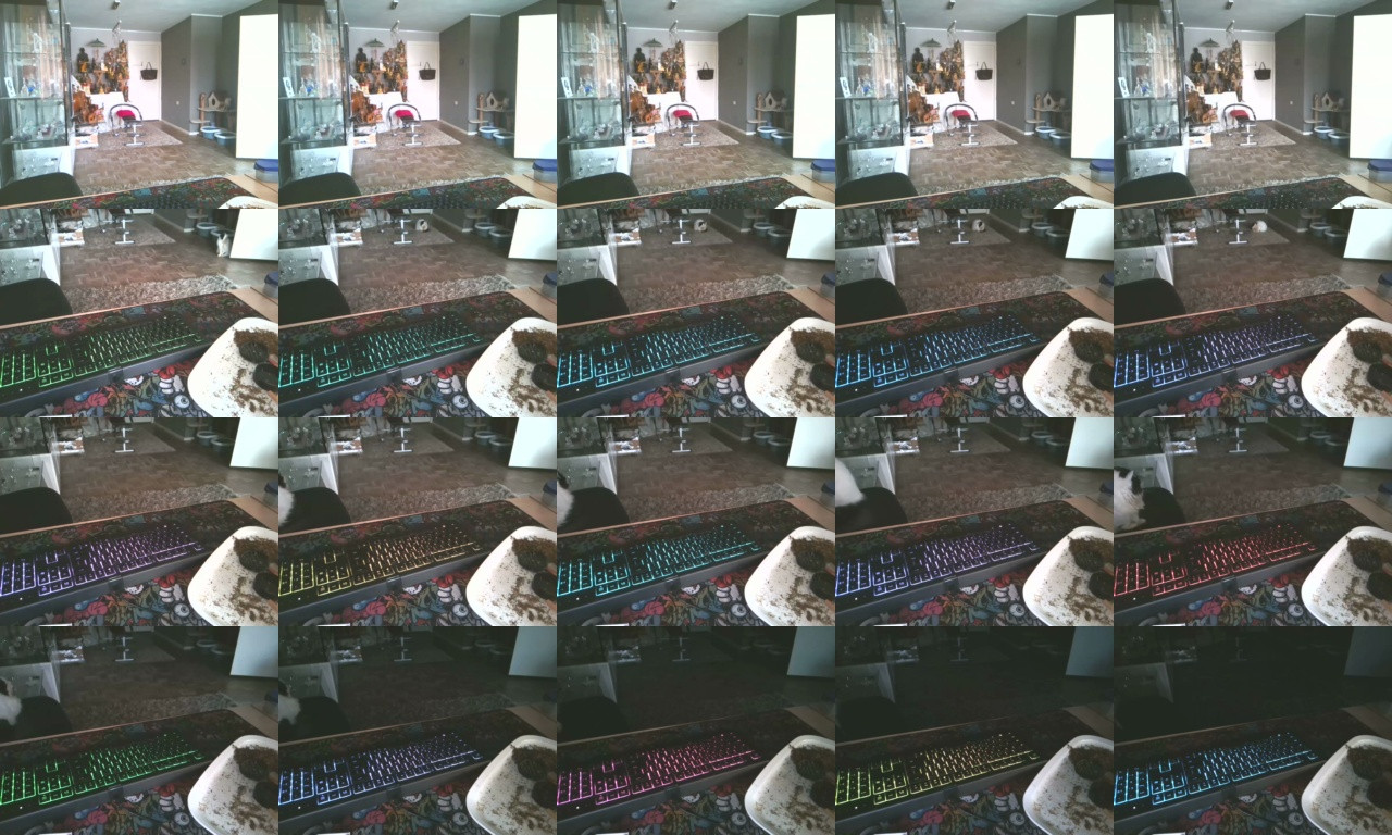 mihaimichael  24-01-2021 Recorded Video Download