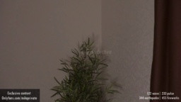 Ms_Seductive  26-01-2021 yang Female
