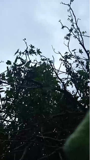 SrJhons  26-01-2021 Recorded Video Naked
